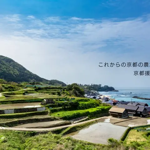 京都援農隊交流ツアー