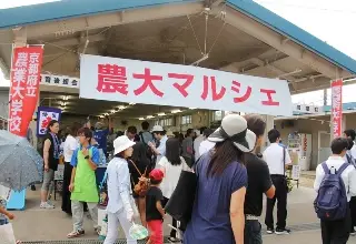 【7月22日(土)】農大マルシェ2017（綾部市）