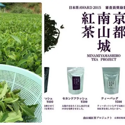 紅茶のための茶畑手摘み体験と、お茶をめぐる一日