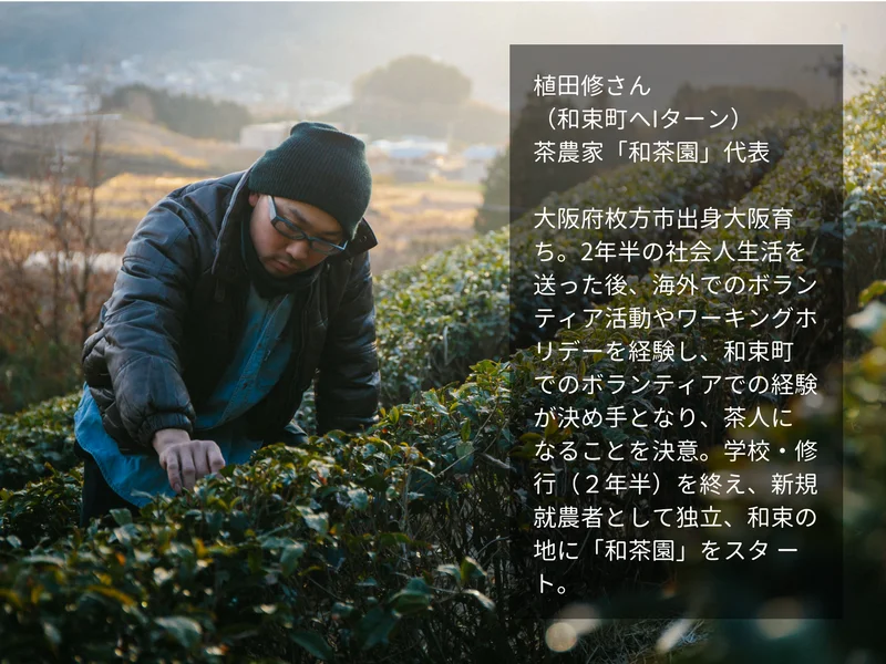 植田修さん （和束町へIターン） 茶農家「和茶園」代表  大阪府枚方市出身大阪育ち。2年半の社会人生活を送った後、海外でのボランティア活動やワーキングホリデーを経験し、和束町 でのボランティアでの経験が決め手となり、茶人に なることを決意。学校・修行（２年半）を終え、新規就農者として独立、和束の地に「和茶園」をスタ ート。