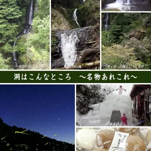 洞の松茸採り＆鯖なれずし即売会