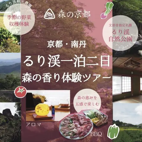 るり渓一泊二日　森の香り体験ツアー