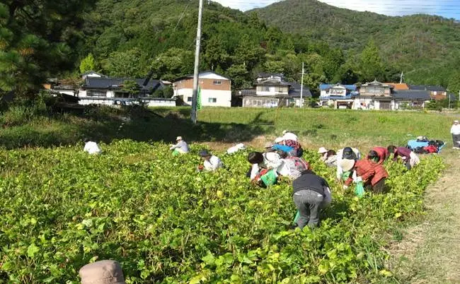 福知山市三和町川合地区