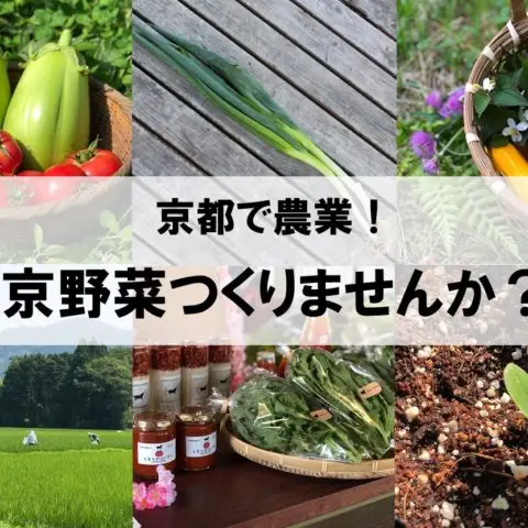 [セミナー]※当日参加歓迎※京都で農業！～京野菜つくりませんか？～＠東京初開催!!