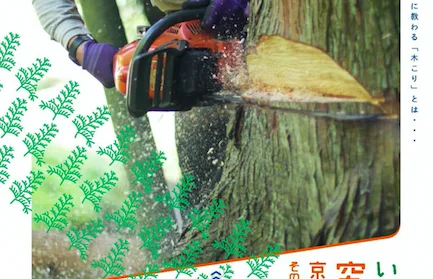 いつか住みたい！究極の田舎「美山・鶴ヶ岡」で木こり体験をしませんか？