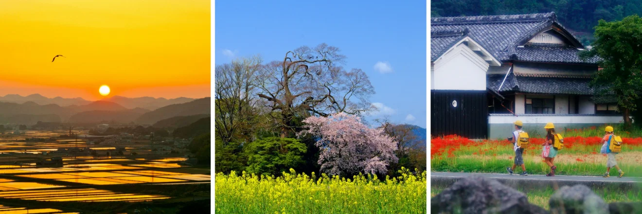 亀岡市