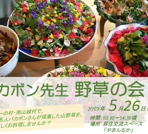 バカボン先生 野草の会@南山城村