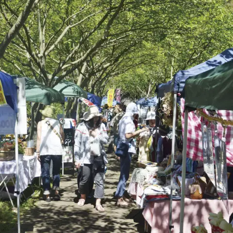 2019京村まつり@南山城村