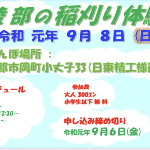 綾部の稲刈り体験