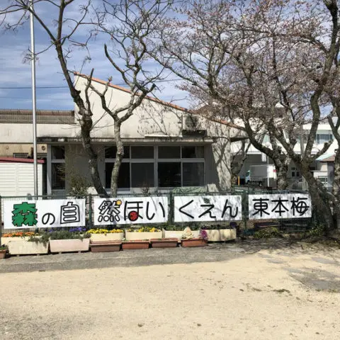 【亀岡市】森の自然ほいくえん東本梅で遊ぼう！