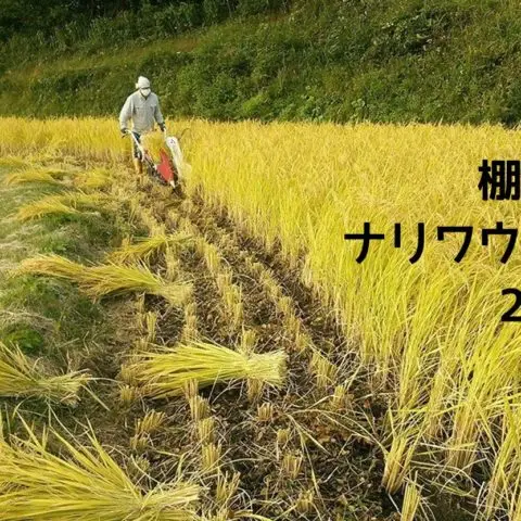 無農薬の米作りに挑戦しませんか？「棚田をナリワウ学校2020」開校！