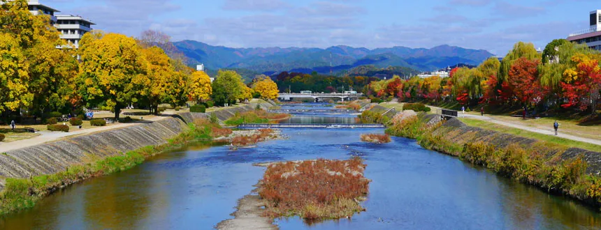 京都市