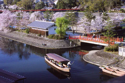 宇治市