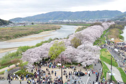 八幡市