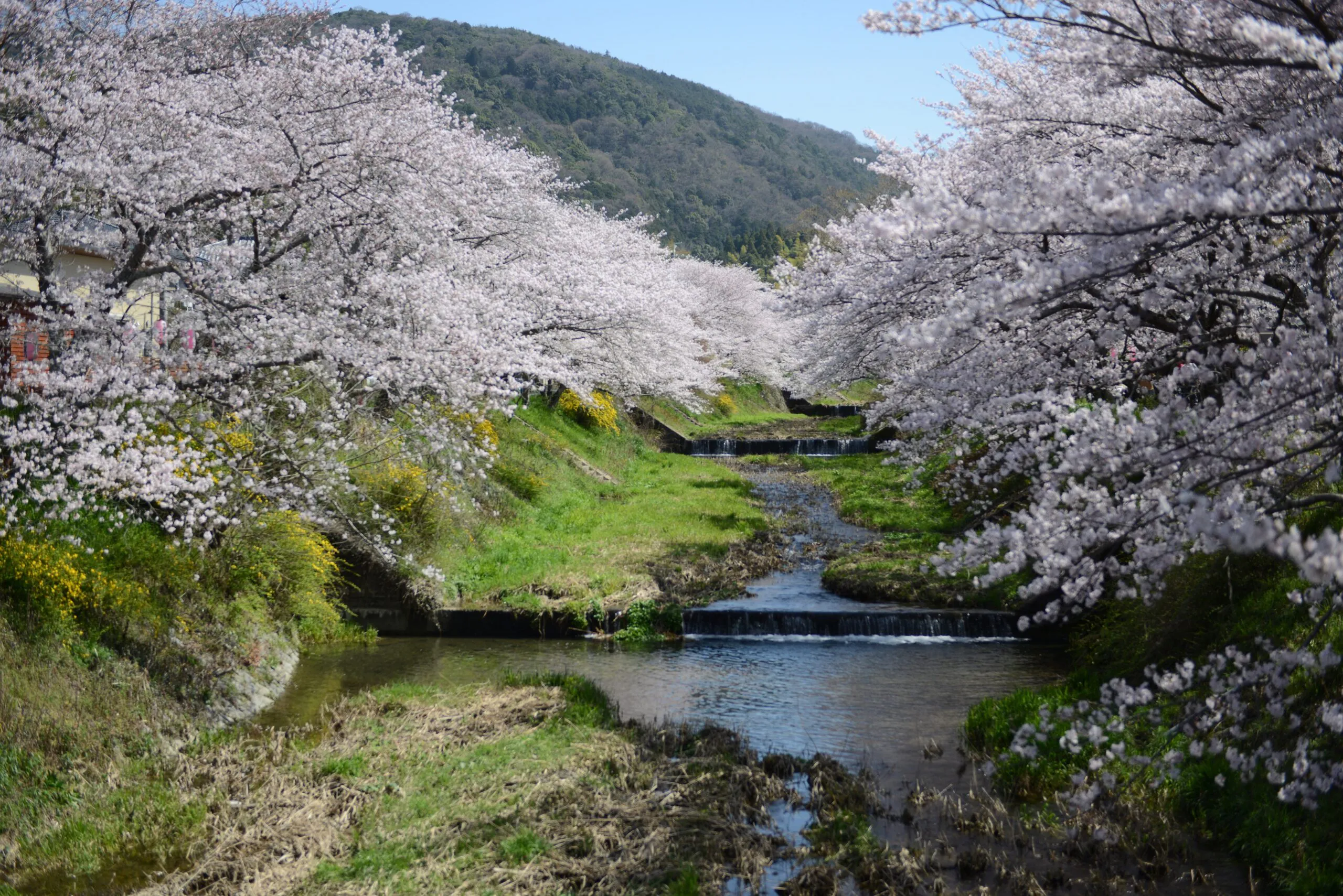 井手町