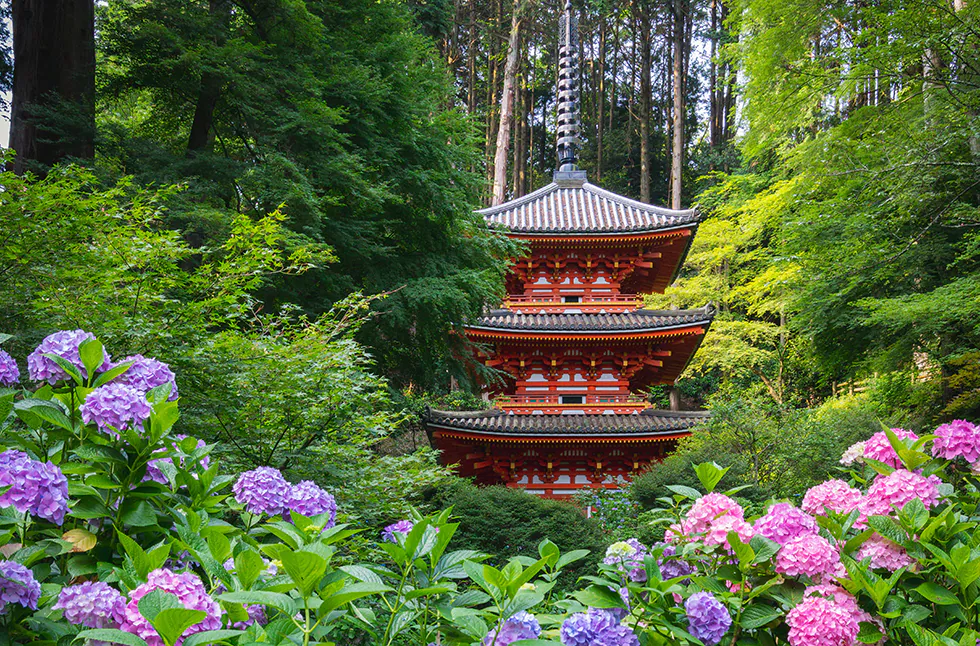 木津川市