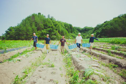Local Farm Tour in 京丹後
