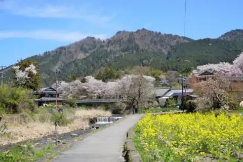 [募集/〆切延長]京都市地域おこし協力隊！