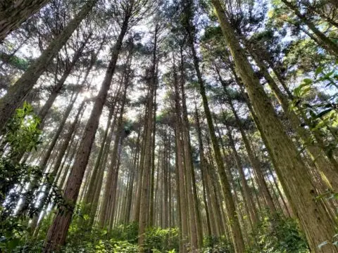 [募集]京丹波町 地域おこし協力隊募集！