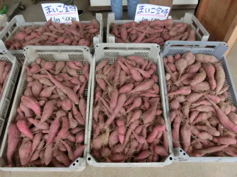 京都・農と暮らしのインターン【シーズファーム(株)】