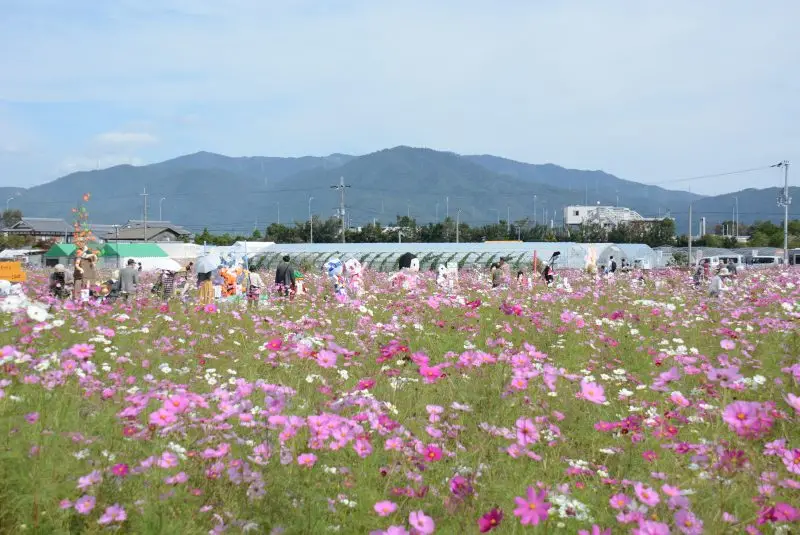 亀岡市吉川地区