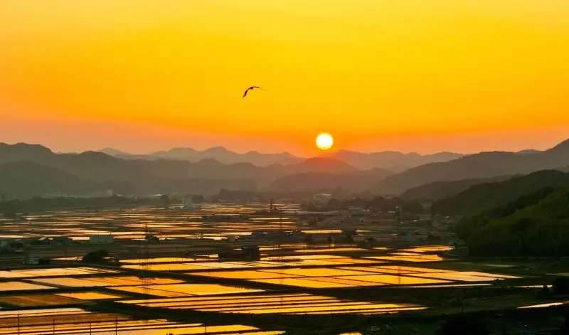 亀岡市千歳地区