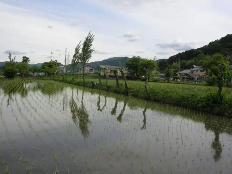 亀岡市河原林地区