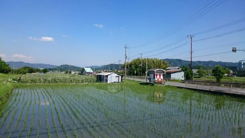 亀岡市薭田野地区