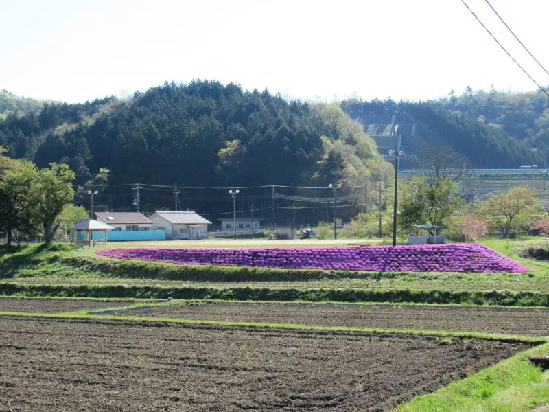 京丹後市大宮町三重・森本地区