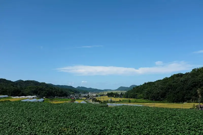 京丹後市久美浜町川上地区