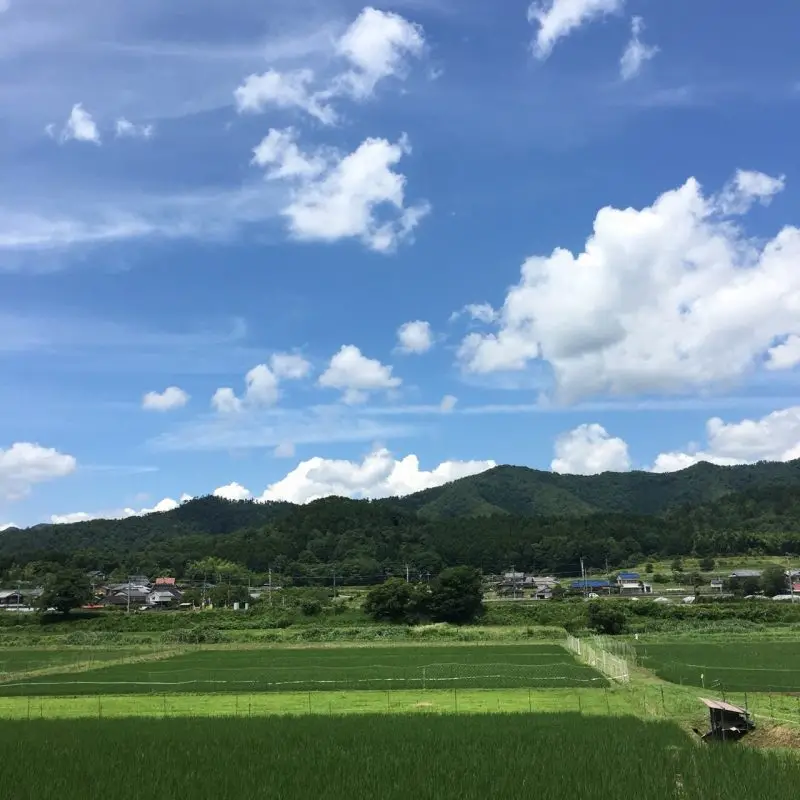 南丹市日吉町胡麻郷地区