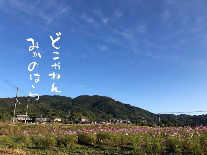 木津川市加茂町瓶原地区