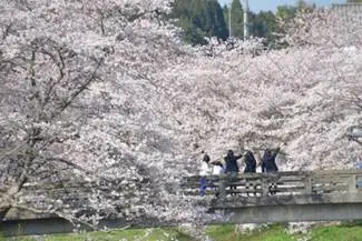 宇治田原町田原地区