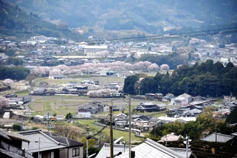 和束町東和束地区