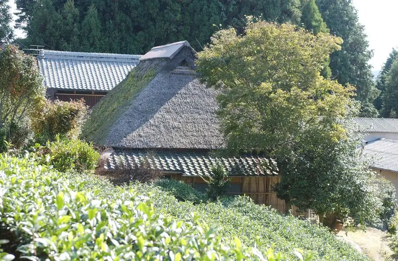 南山城村野殿童仙房地区