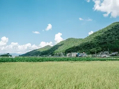 福知山市上六人部地区