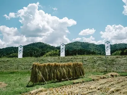 福知山市上六人部地区