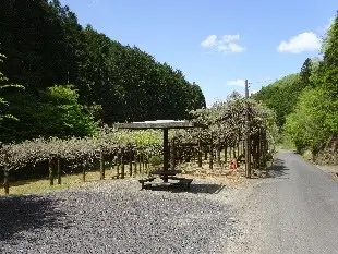 福知山市大江町有路上・有路下地区