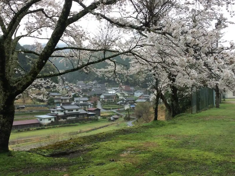 福知山市夜久野町畑地区