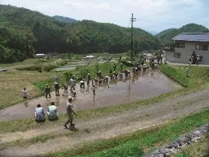 福知山市大江町河守上地区