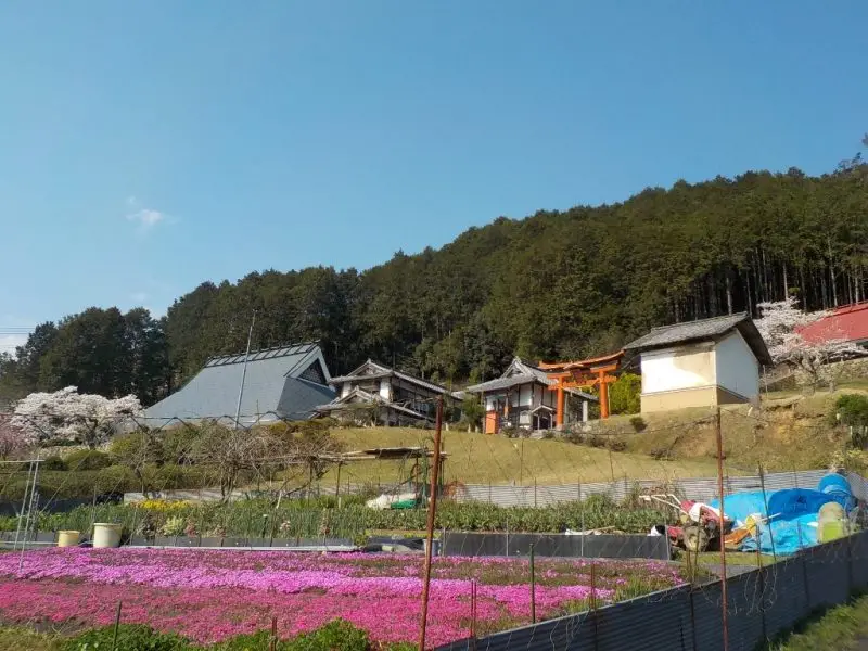 福知山市三和町菟原地区