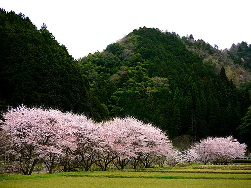 舞鶴市岡田中地区