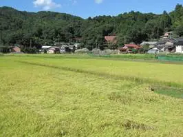 宮津市養老地区