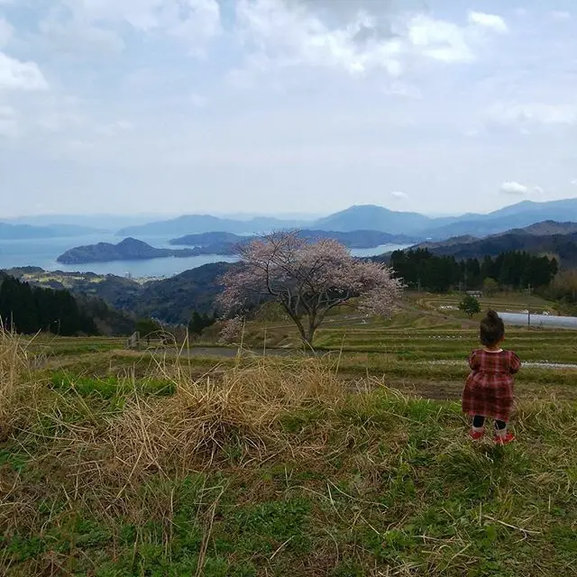 宮津市世屋地区