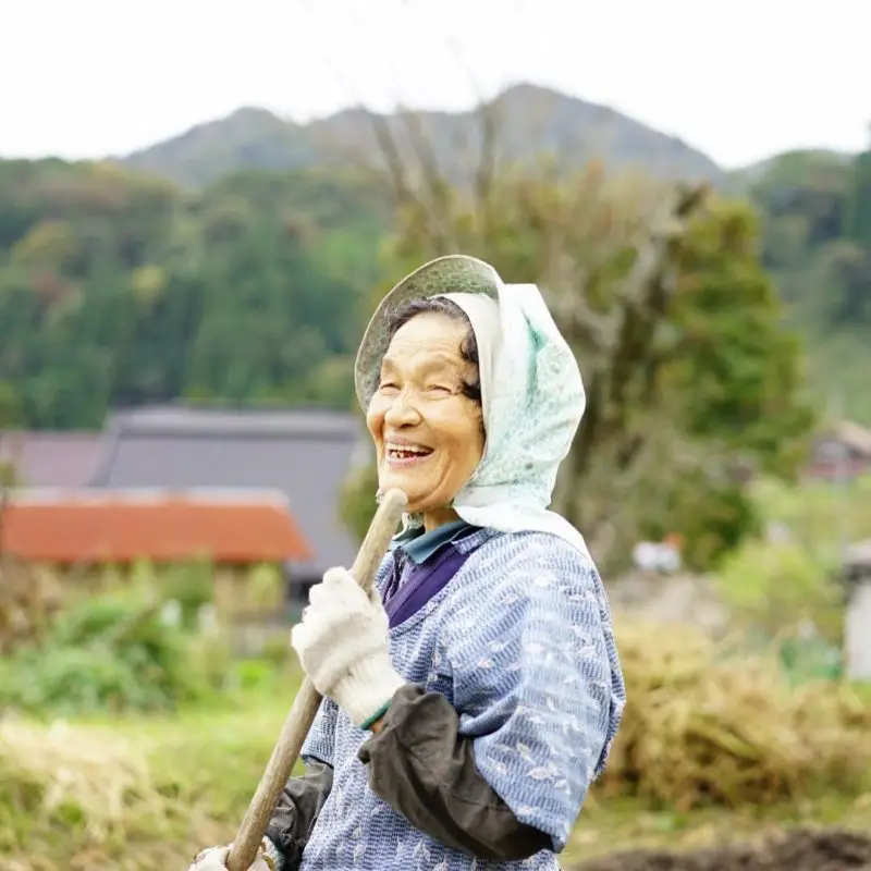 宮津市世屋地区