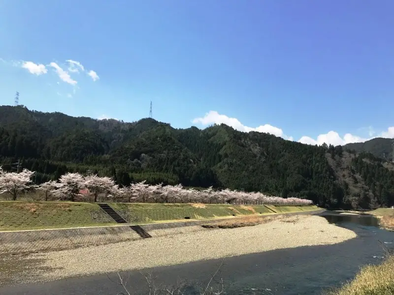 京都市右京区京北宇津地区