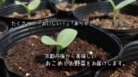 京都・農と暮らしのインターン　【（株）野木源】