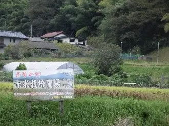 京丹後市弥栄町吉野地区