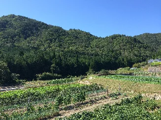 亀岡市畑野地区