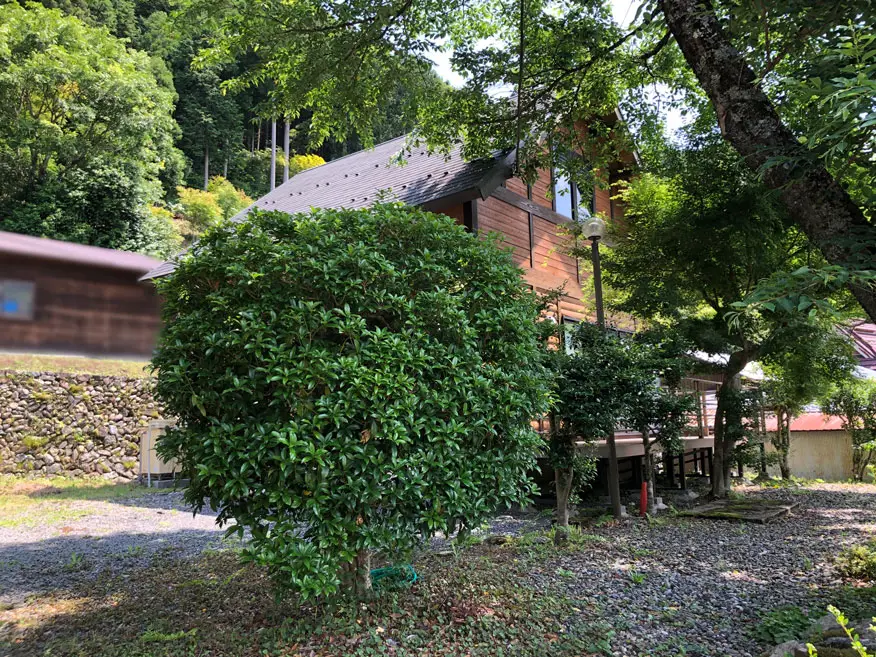 No.442美山町江和の物件